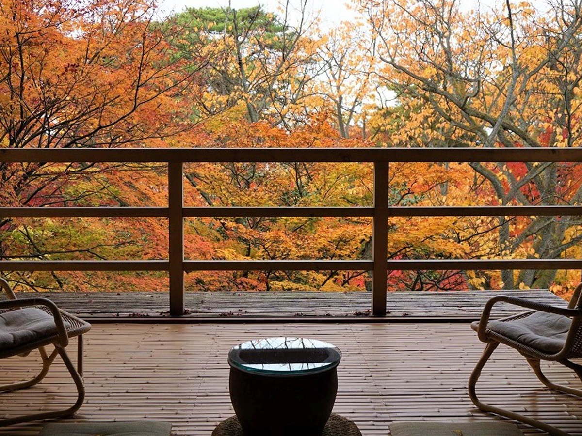 Autumn colours of the forest garden at Beniya Mukayu ryokan in Japan