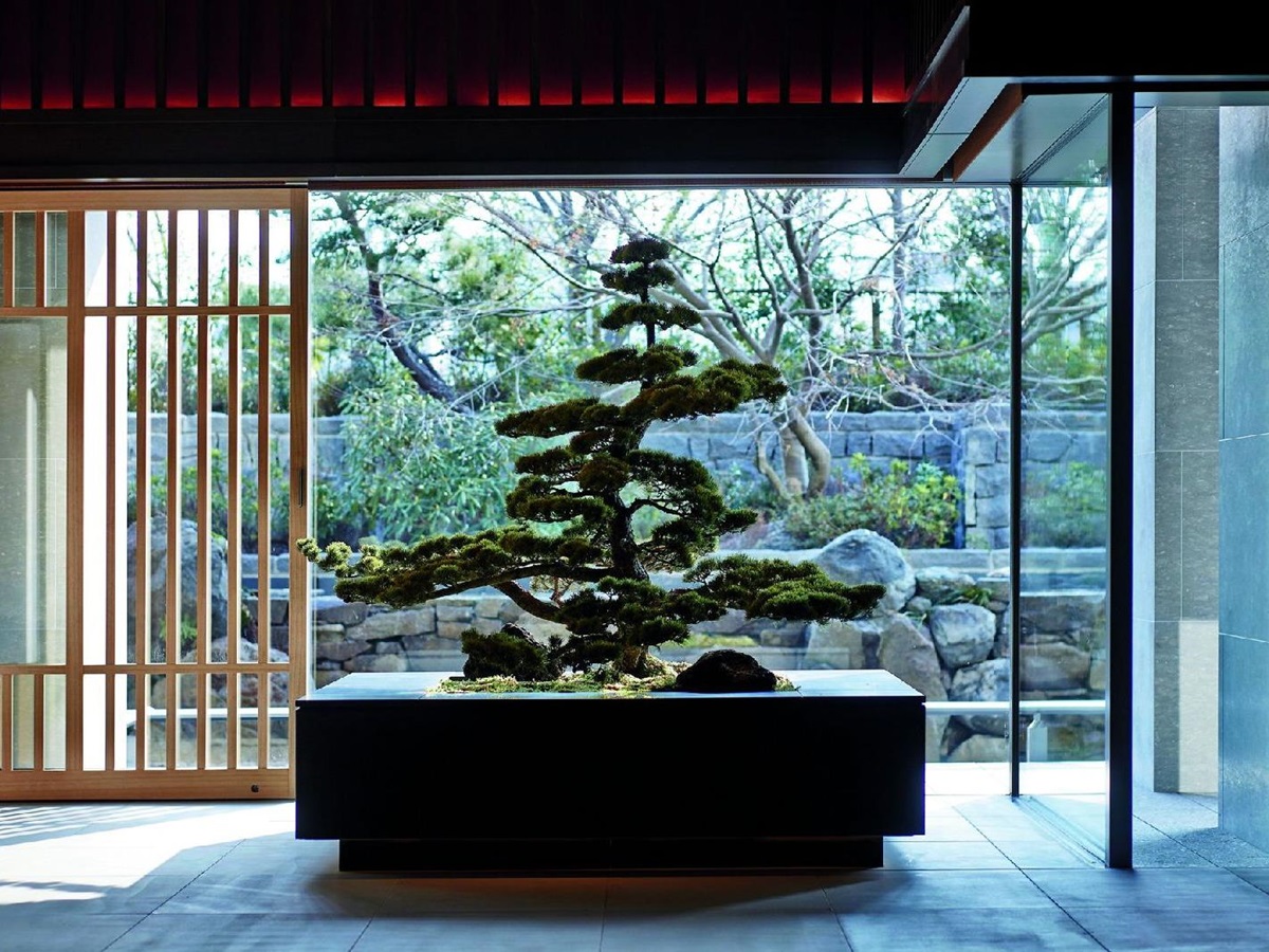 Bonsai tree in the lobby of the Ritz Carlton Kyoto in Japan
