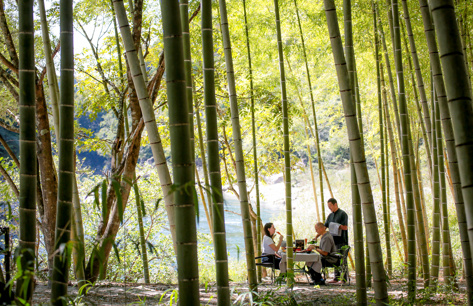 Dining in a bamboo forest at Zenagi in Japan