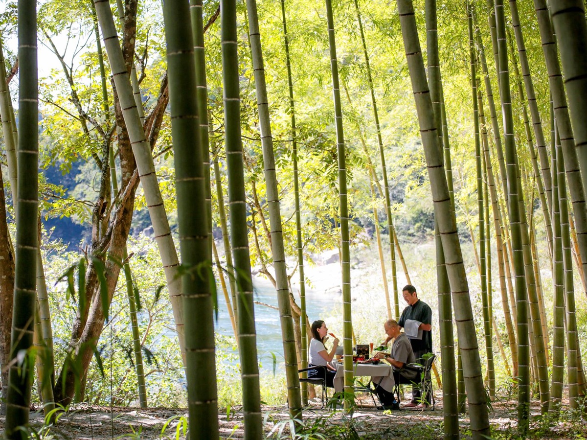 Dining in a bamboo forest at Zenagi in Japan