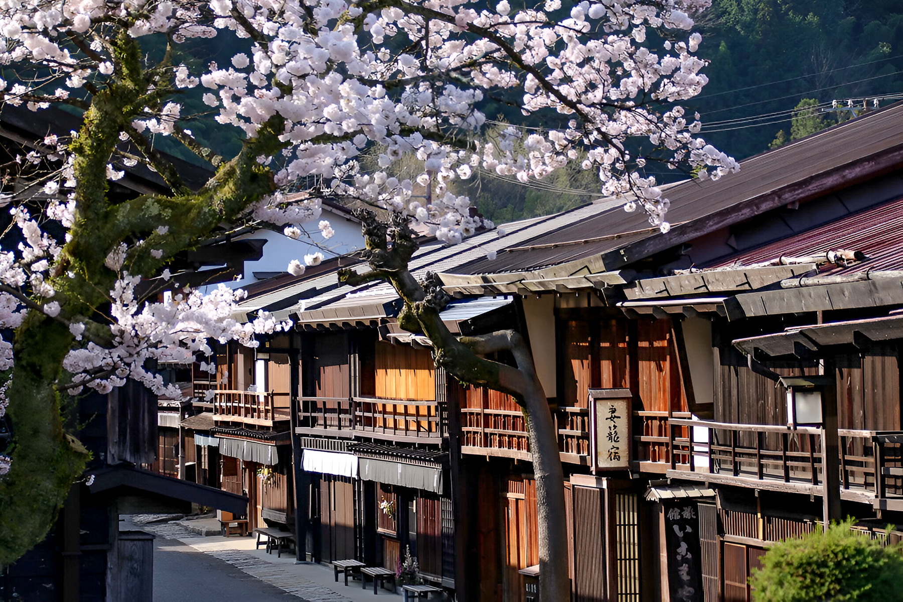 Blossom season at Zenagi in Japan