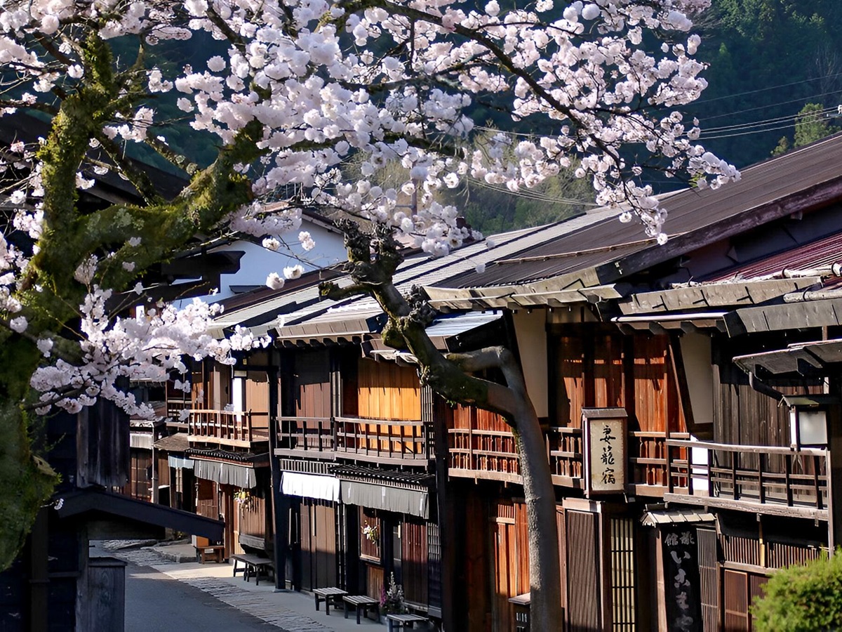 Blossom season at Zenagi in Japan