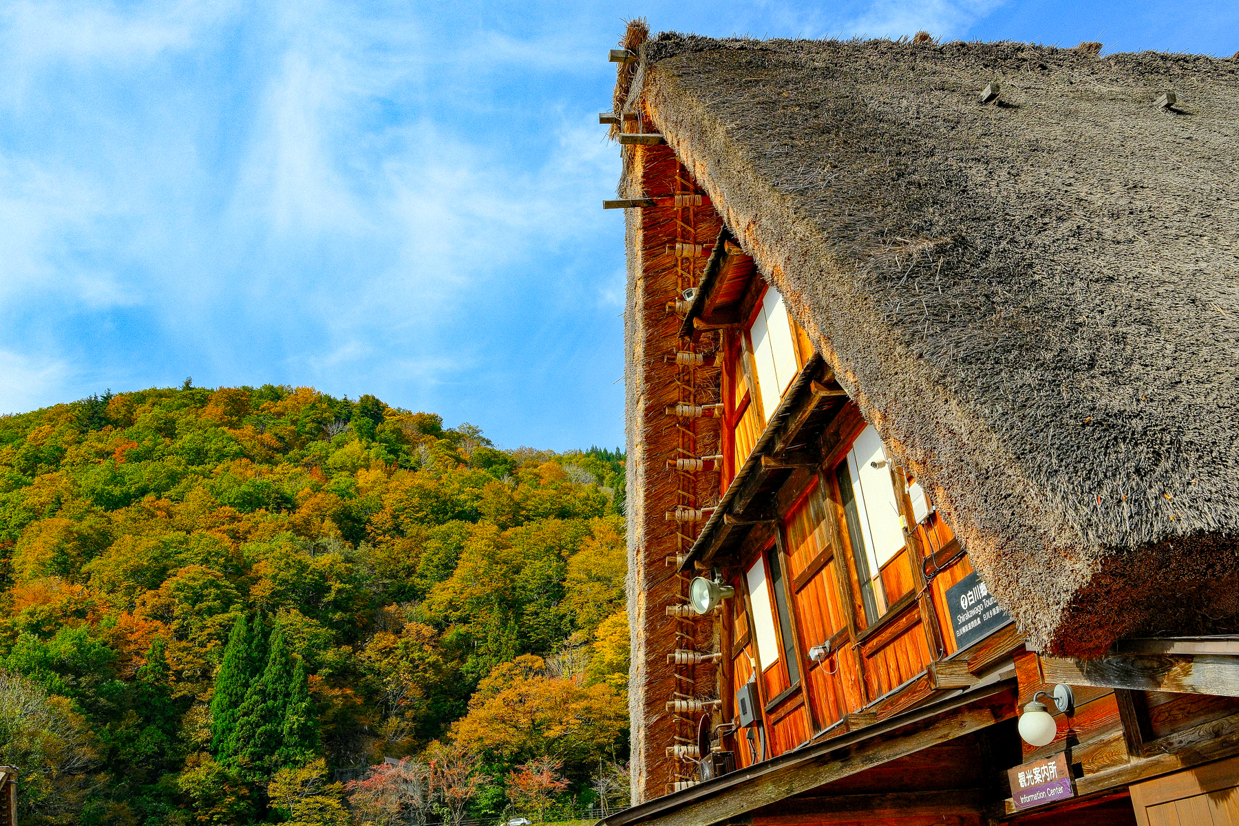 Traditional roof of a building in Gassho Villaga in Gifu