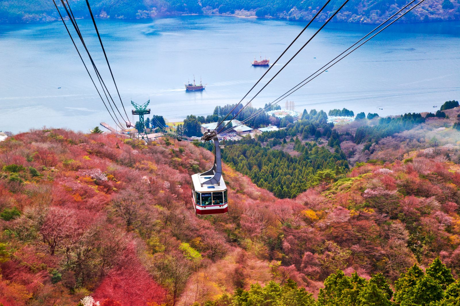 A cable car in Hakone during Autumn