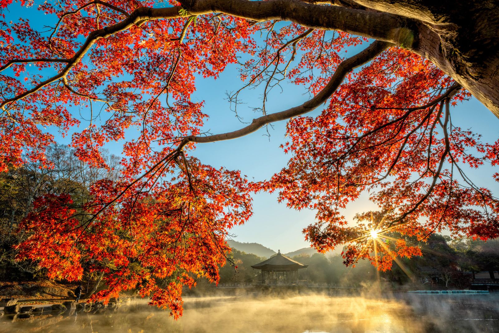 Autumn in Japan