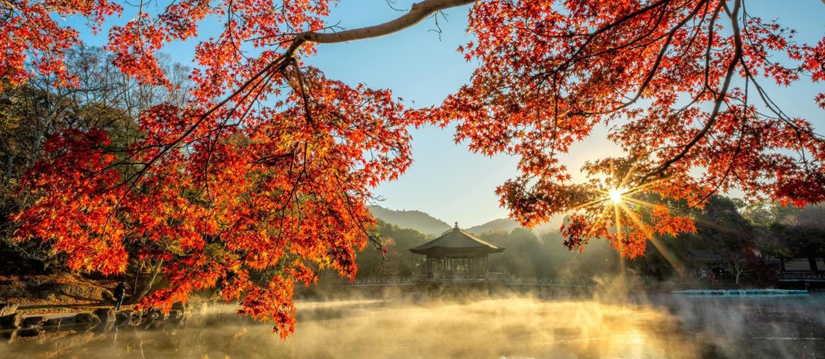 Autumn in Japan