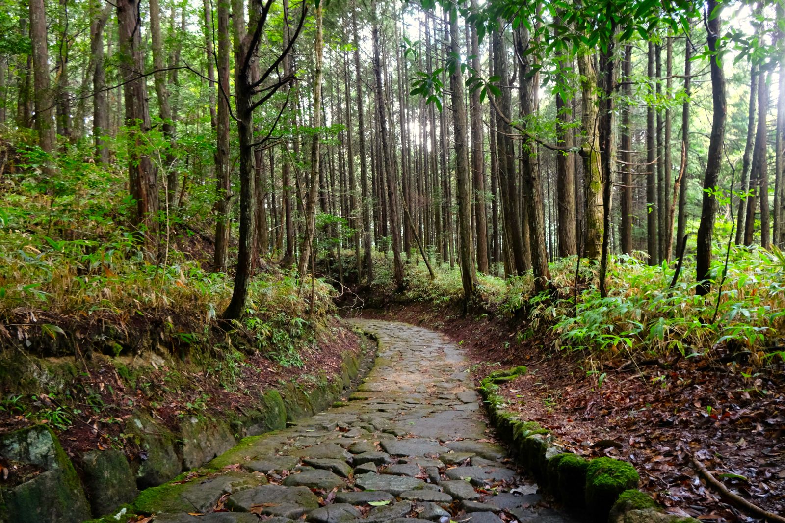 Samurai trail in Kiso Valley