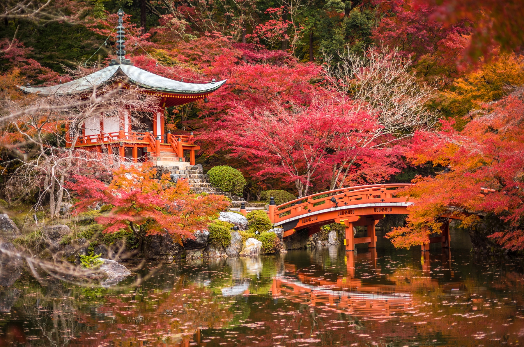 Daigoji Temple, a designated world heritage site southeast of central Kyoto in Japan, with red maple trees and a bridge over a lake in front 