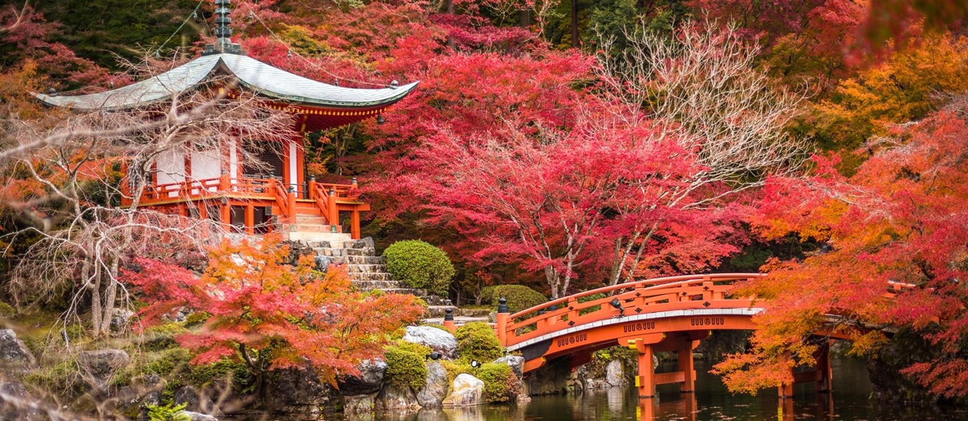 Daigoji Temple, a designated world heritage site southeast of central Kyoto in Japan, with red maple trees and a bridge over a lake in front 