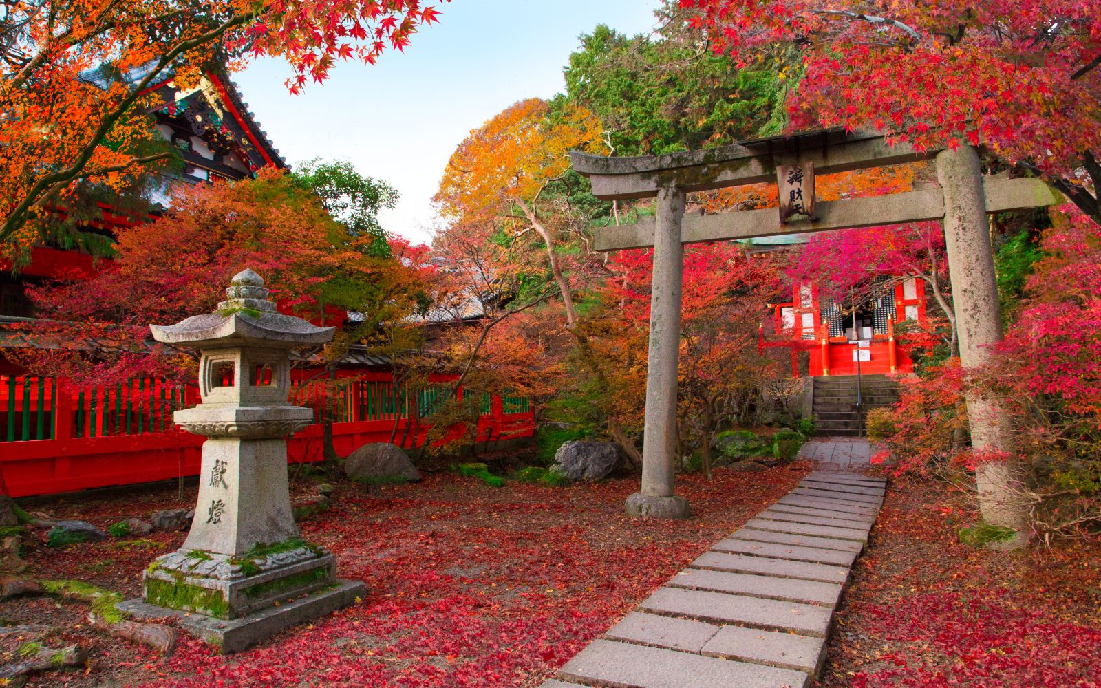 Gardens and a temple in the red autumn leaves in Kyoto Japan