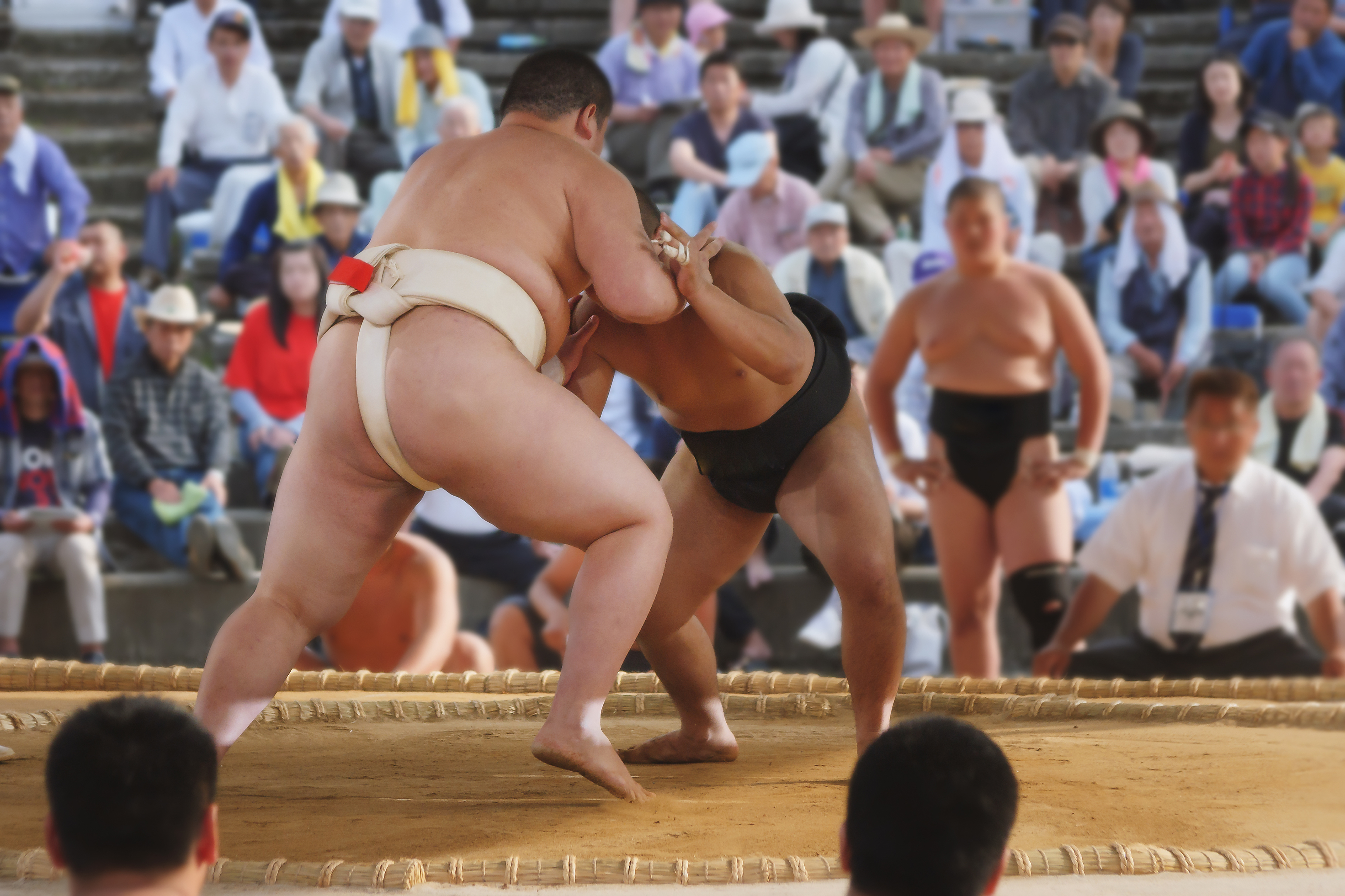 Sumo wrestlers in Japan