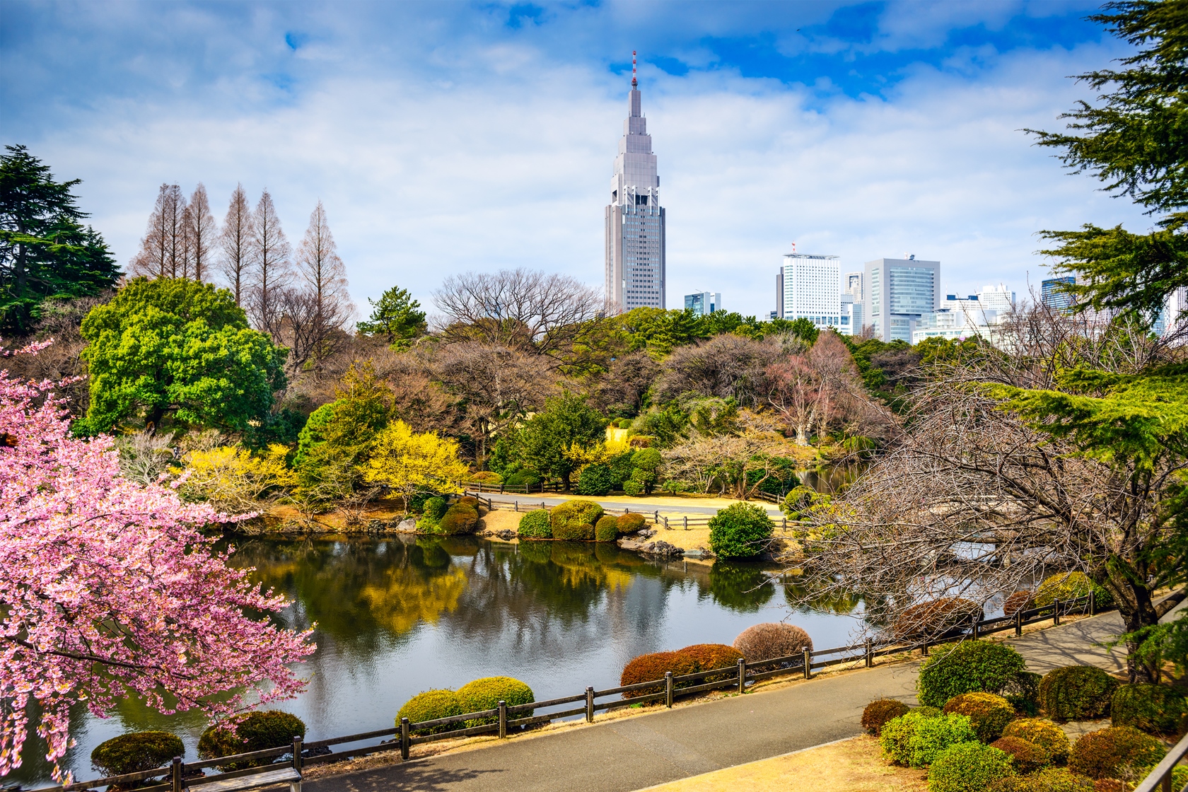 A lake in Shinjuku Gyoen, one of Tokyo's largest and most popular parks, located just a short walk from Shinjuku Station with the Tokyo skyline in the background