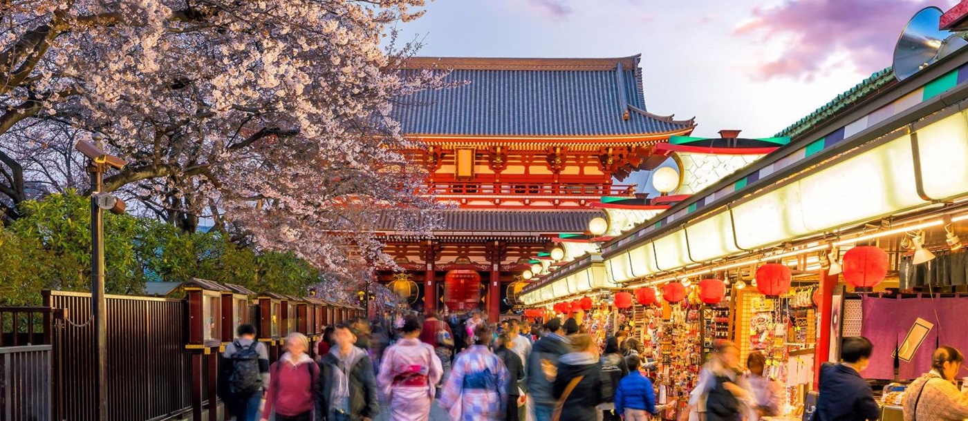 A shopping street in Tokyo with a cherry blossom tree and temple in the background