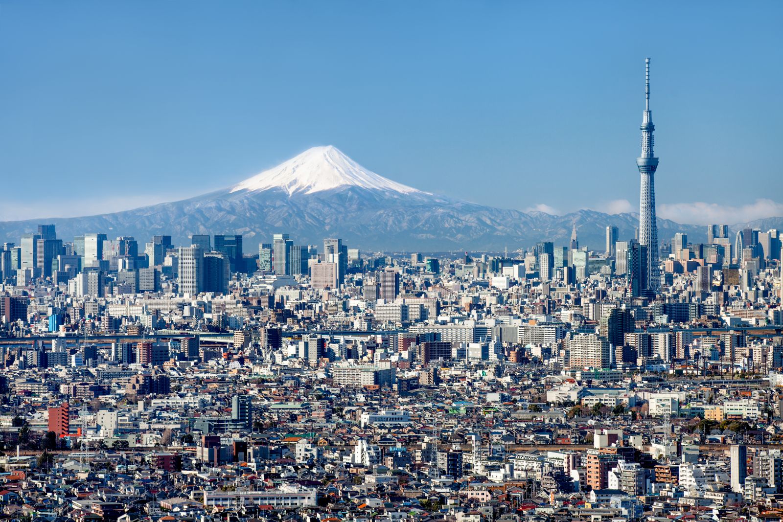 Cityscape of the Tokyo skyline, Sky Tree and Mount Fuji in the background