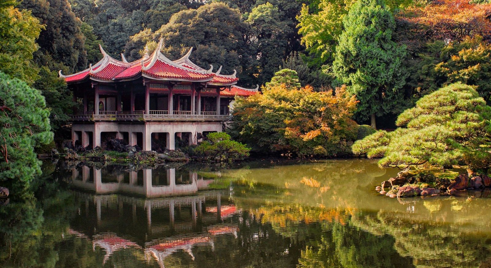 A temple in Tokyo during Autumn