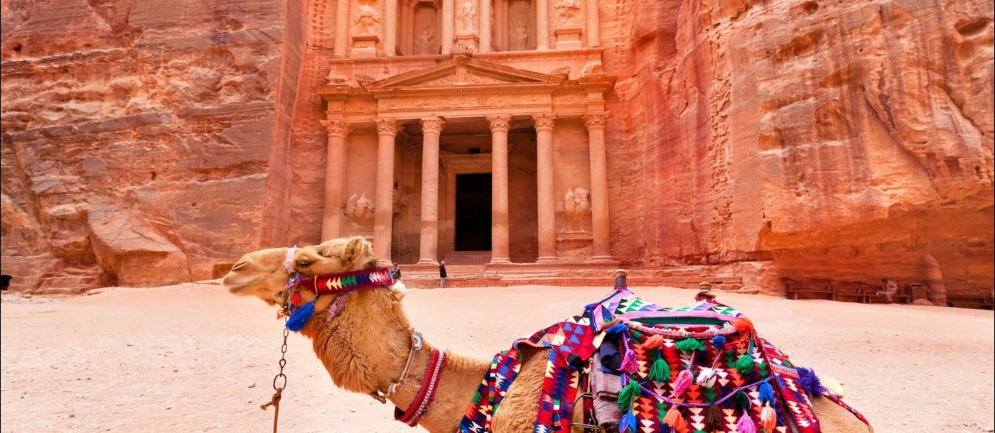 Petra Ancient City in Jordan with a camel with a colourful saddle
