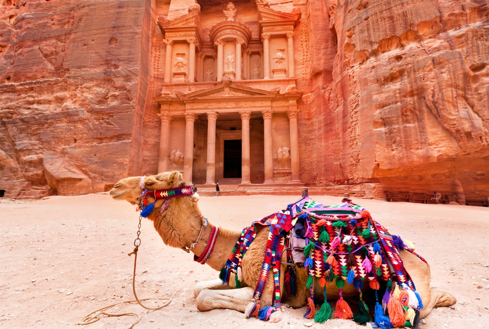 Petra Ancient City in Jordan with a camel with a colourful saddle