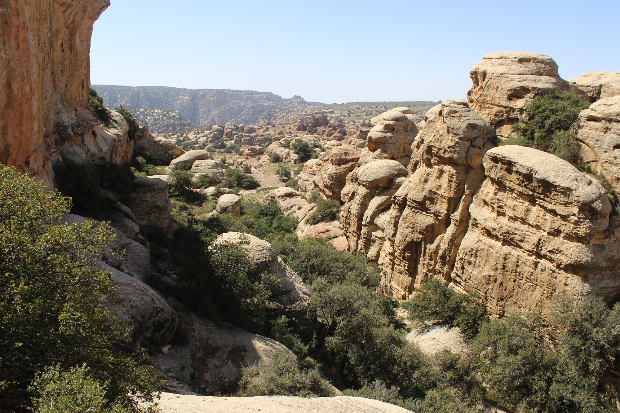 Dana Nature Reserve, Jordan