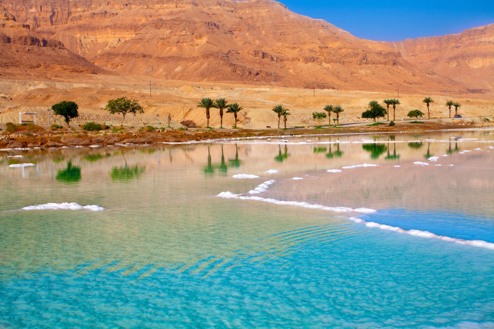 The waters of the Dead Sea with a backdrop of palms in Jordan