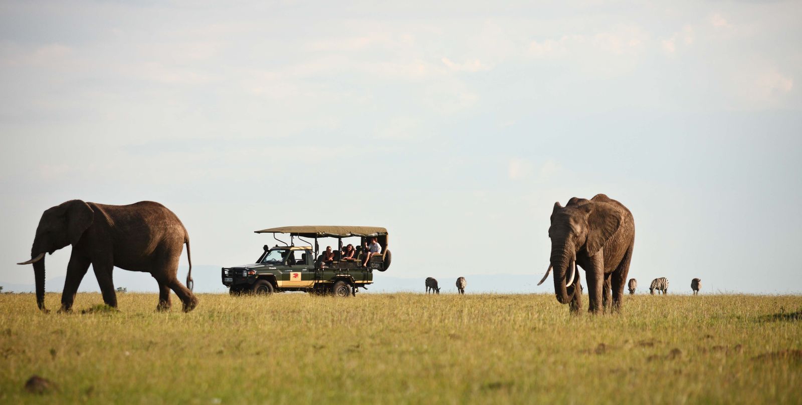 Elephants at Elephant Pepper Camp in Kenya 