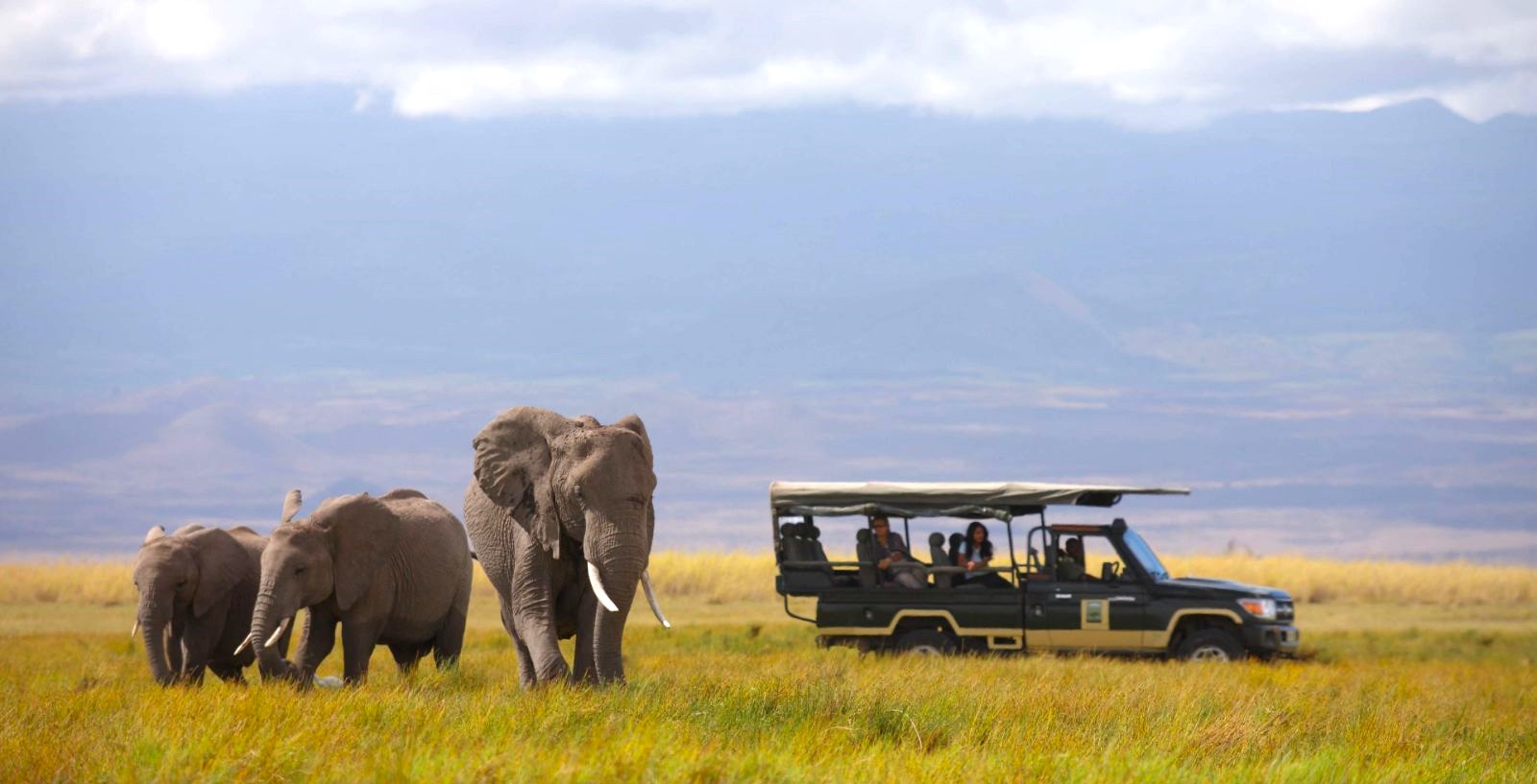 Elephants spotted on a game drive in the Amboseli National Park near Elewana Tortilis Camp in Kenya