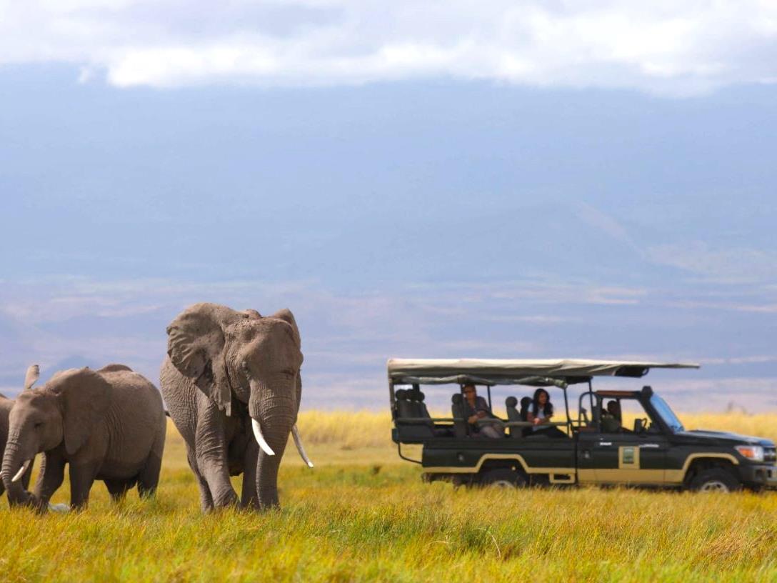 Elephants spotted on a game drive in the Amboseli National Park near Elewana Tortilis Camp in Kenya