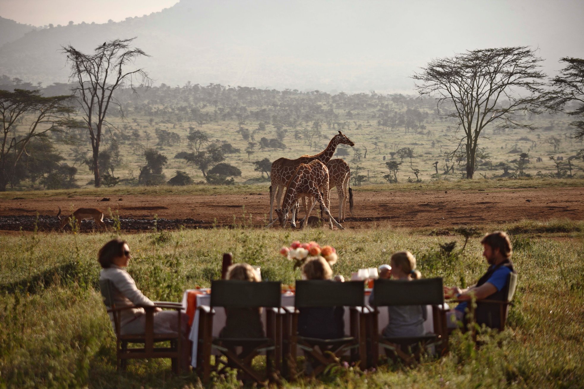 Giraffe at Enasoit in Kenya