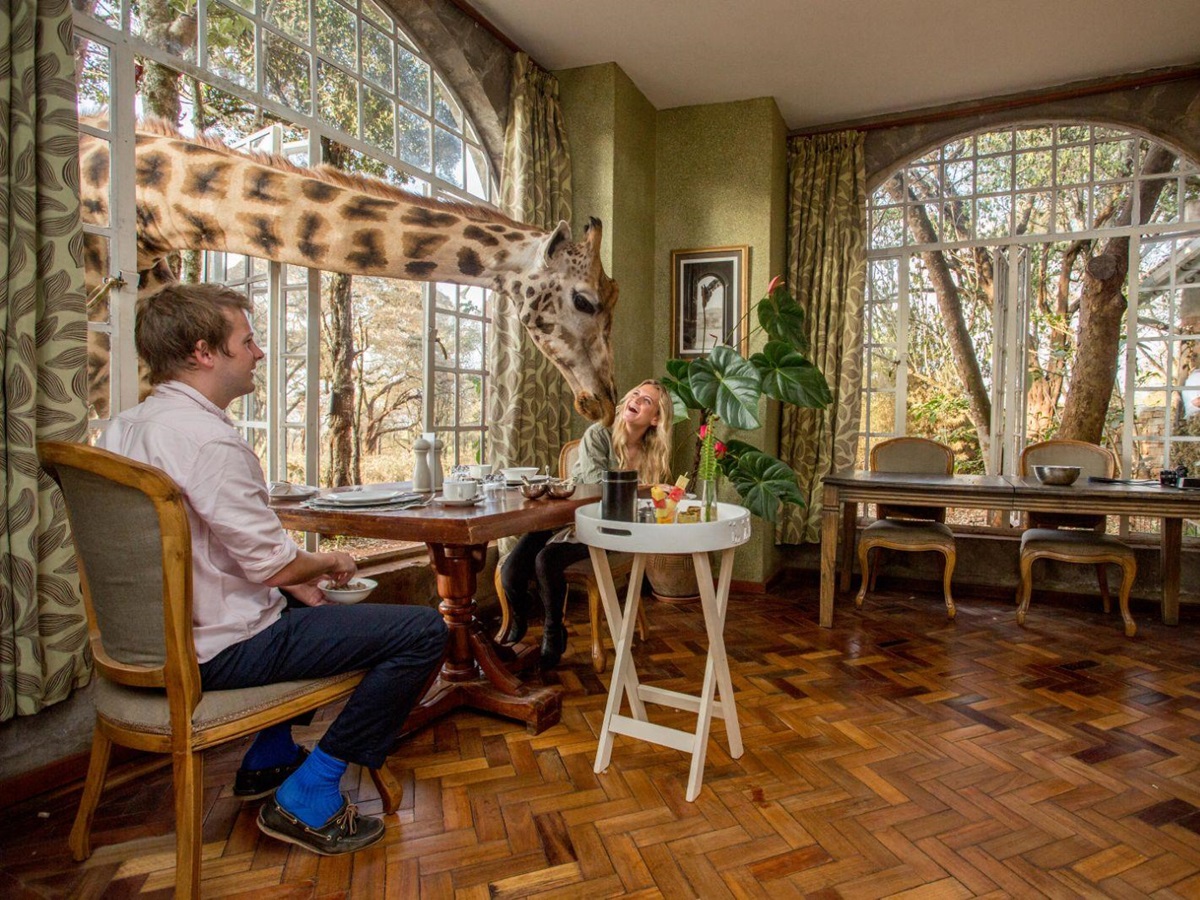 Breakfast with the Giraffes at Giraffe Manor Nairobi