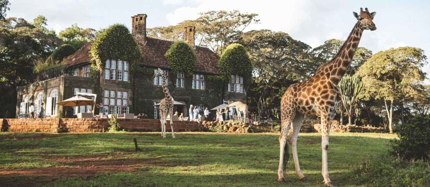 Exterior view of Giraffe Manor Nairobi
