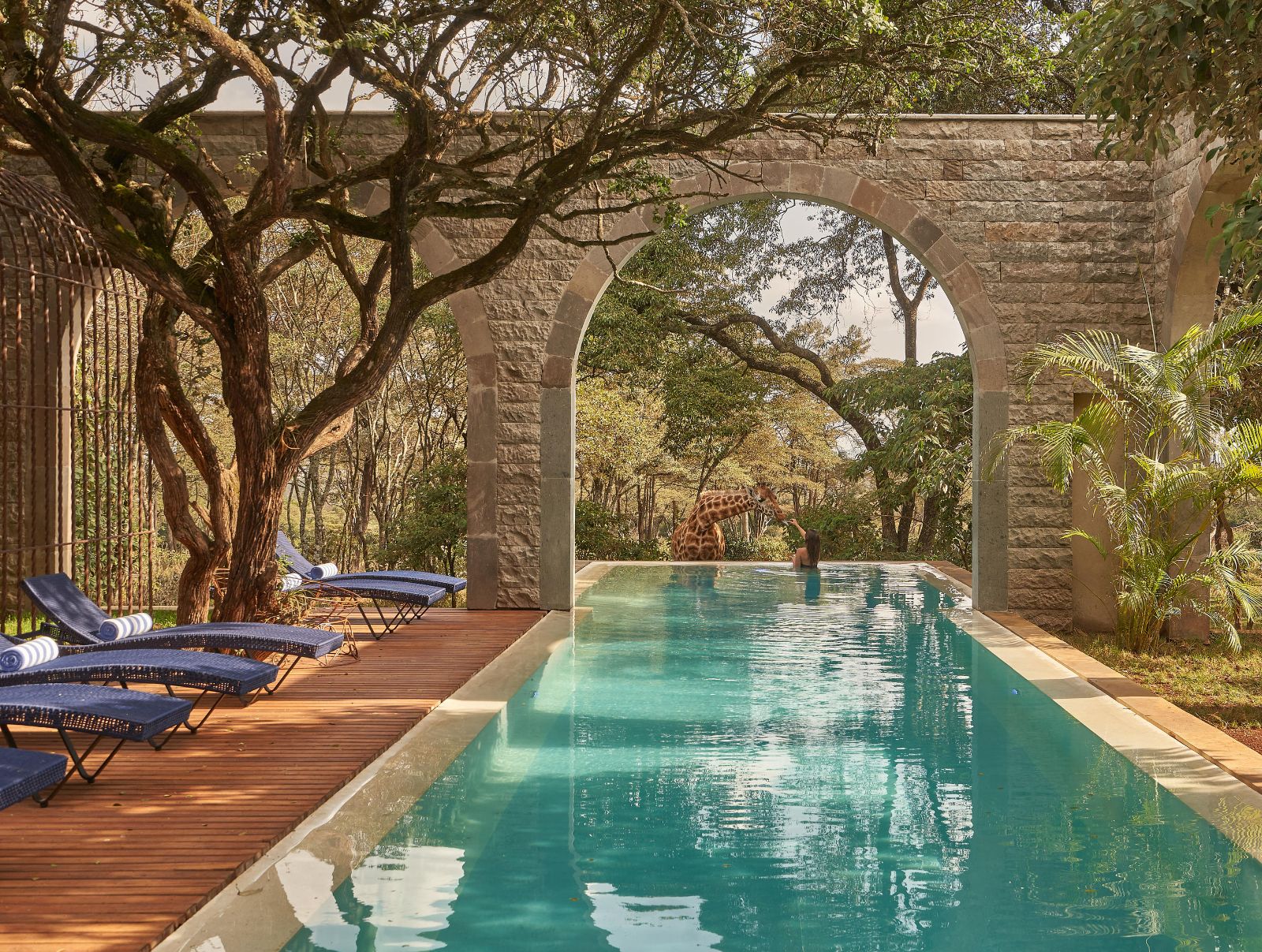 Pool at Giraffe Manor Nairobi