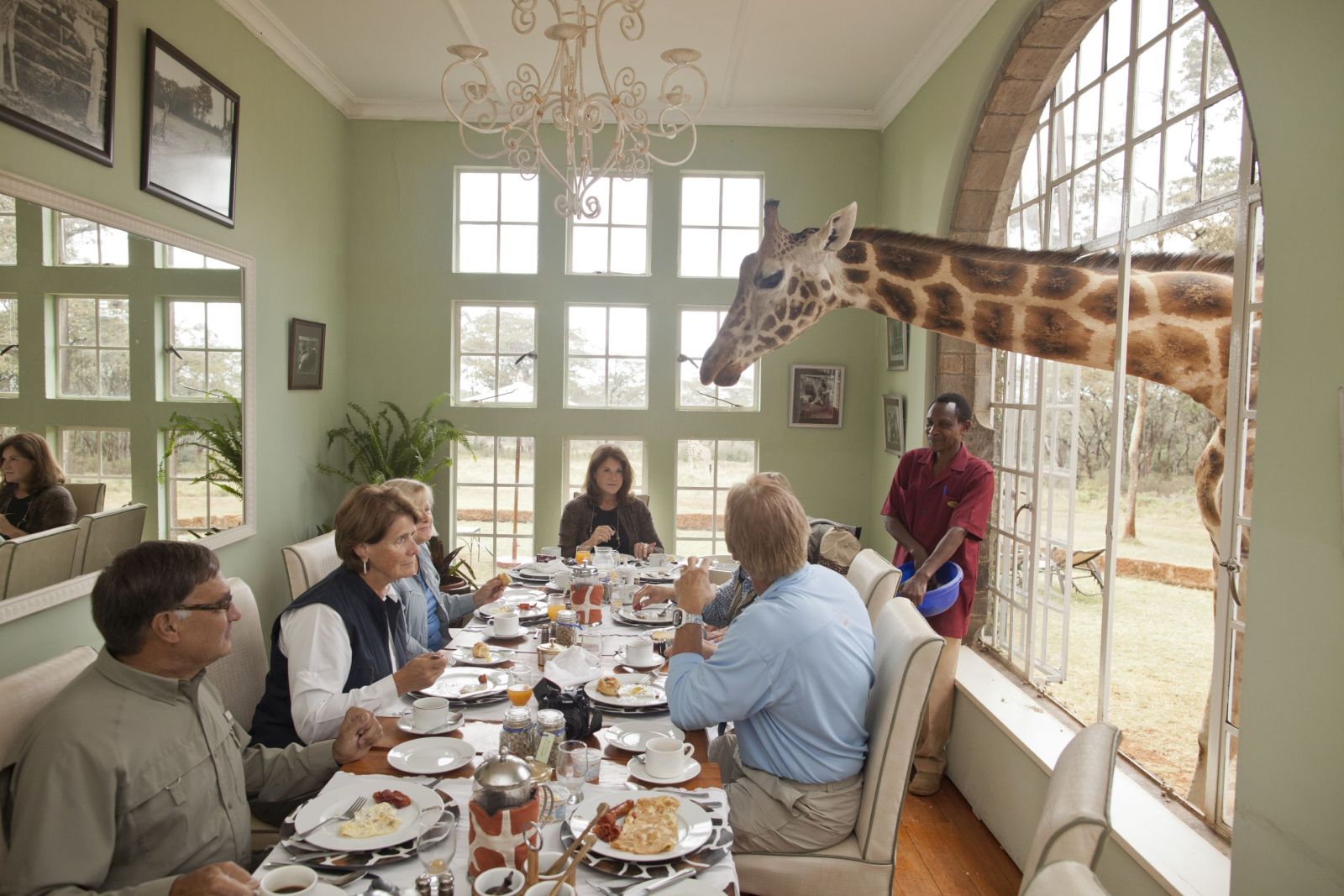 Breakfast with giraffes at Giraffe Manor in Kenya 