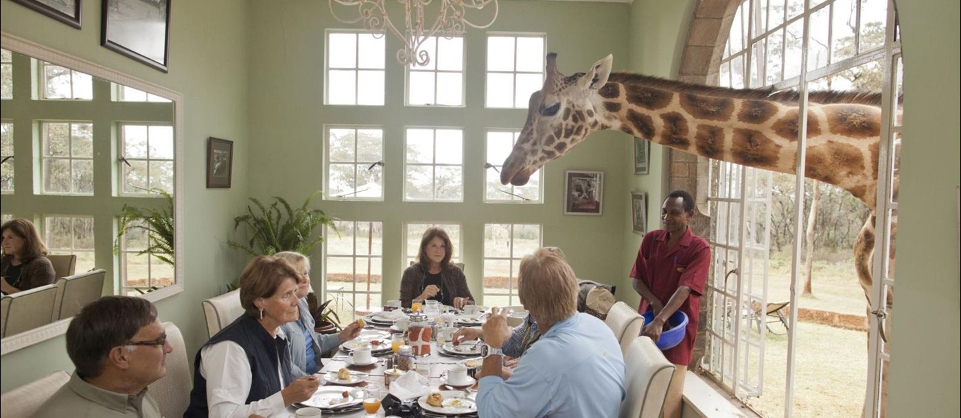 Breakfast with giraffes at Giraffe Manor in Kenya 