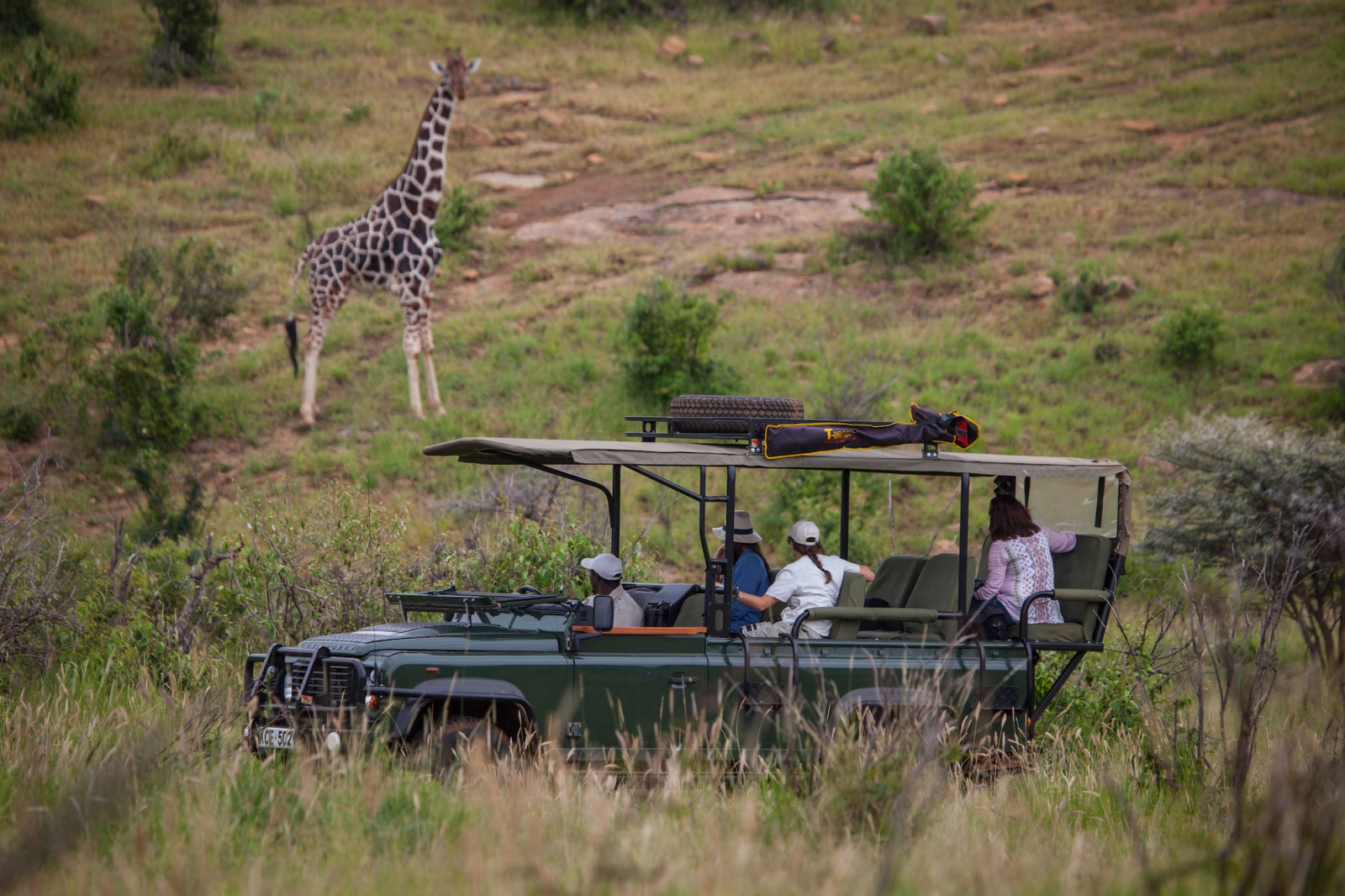 Guests on a game drive, viewing a giraffe, at luxury safari lodge Lodo Springs in the Laikipia region of Kenya