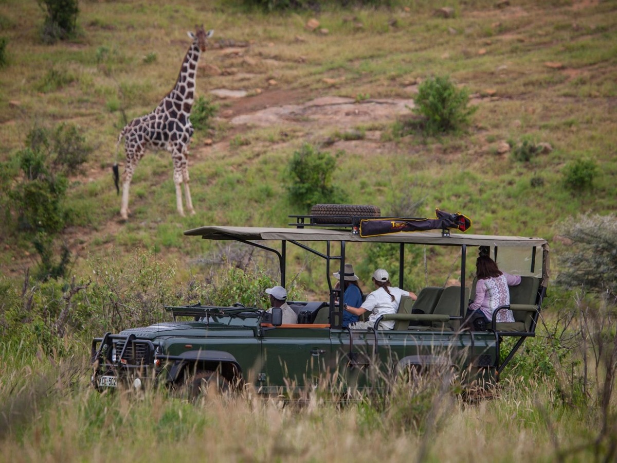 Guests on a game drive, viewing a giraffe, at luxury safari lodge Lodo Springs in the Laikipia region of Kenya