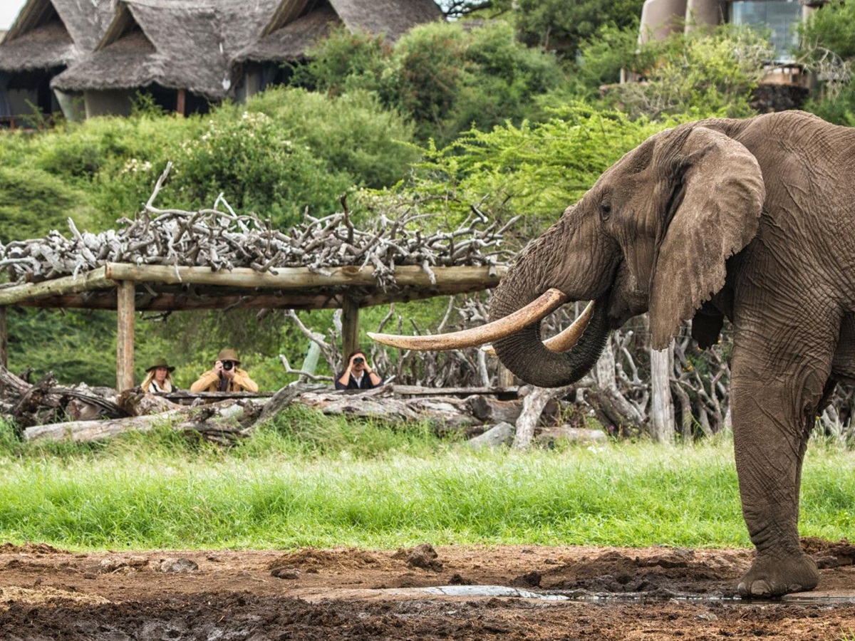 Guests watching an elephant drink from the photographic hide at luxury lodge Ol Donyo in Kenya