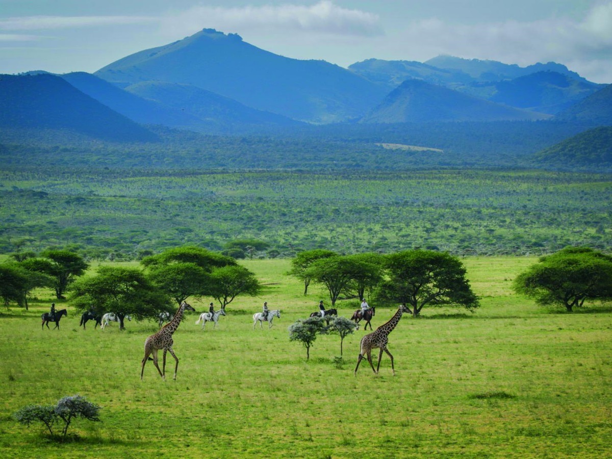 Guests riding alongside giraffe during a stay at luxury lodge Ol Donyo in Kenya