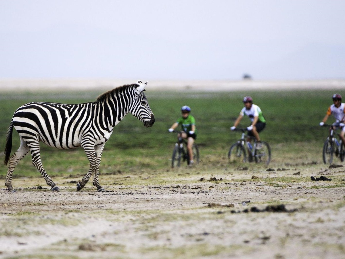 Cycling safari at Ol Donyo Wuas in Kenya
