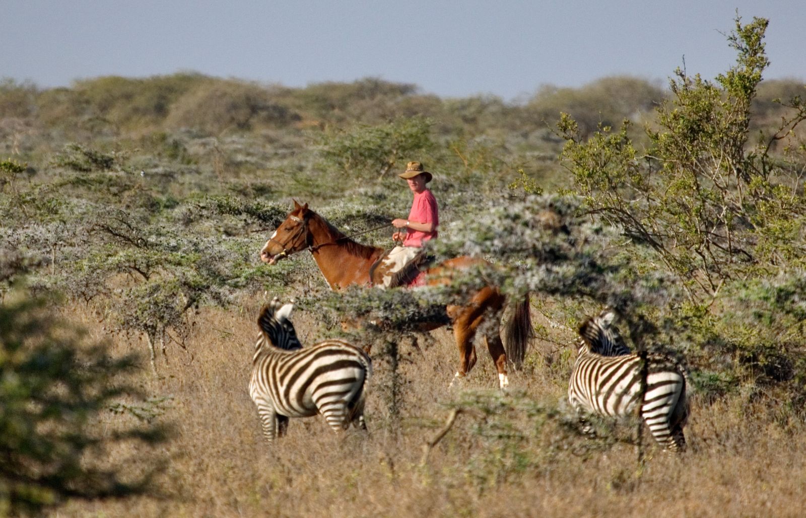 Horseback Safari at Ol Malo Lodge, Kenya