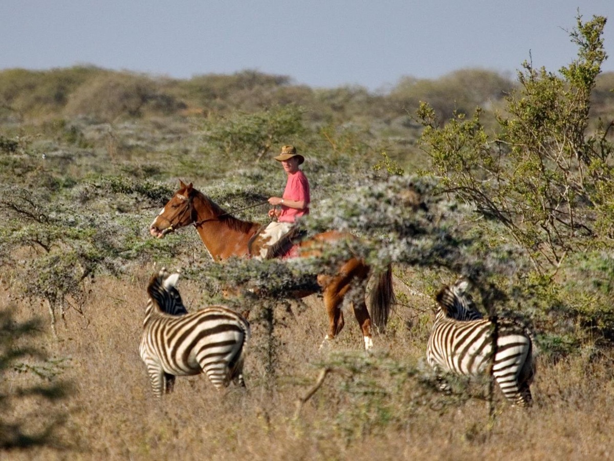 Horseback Safari at Ol Malo Lodge, Kenya