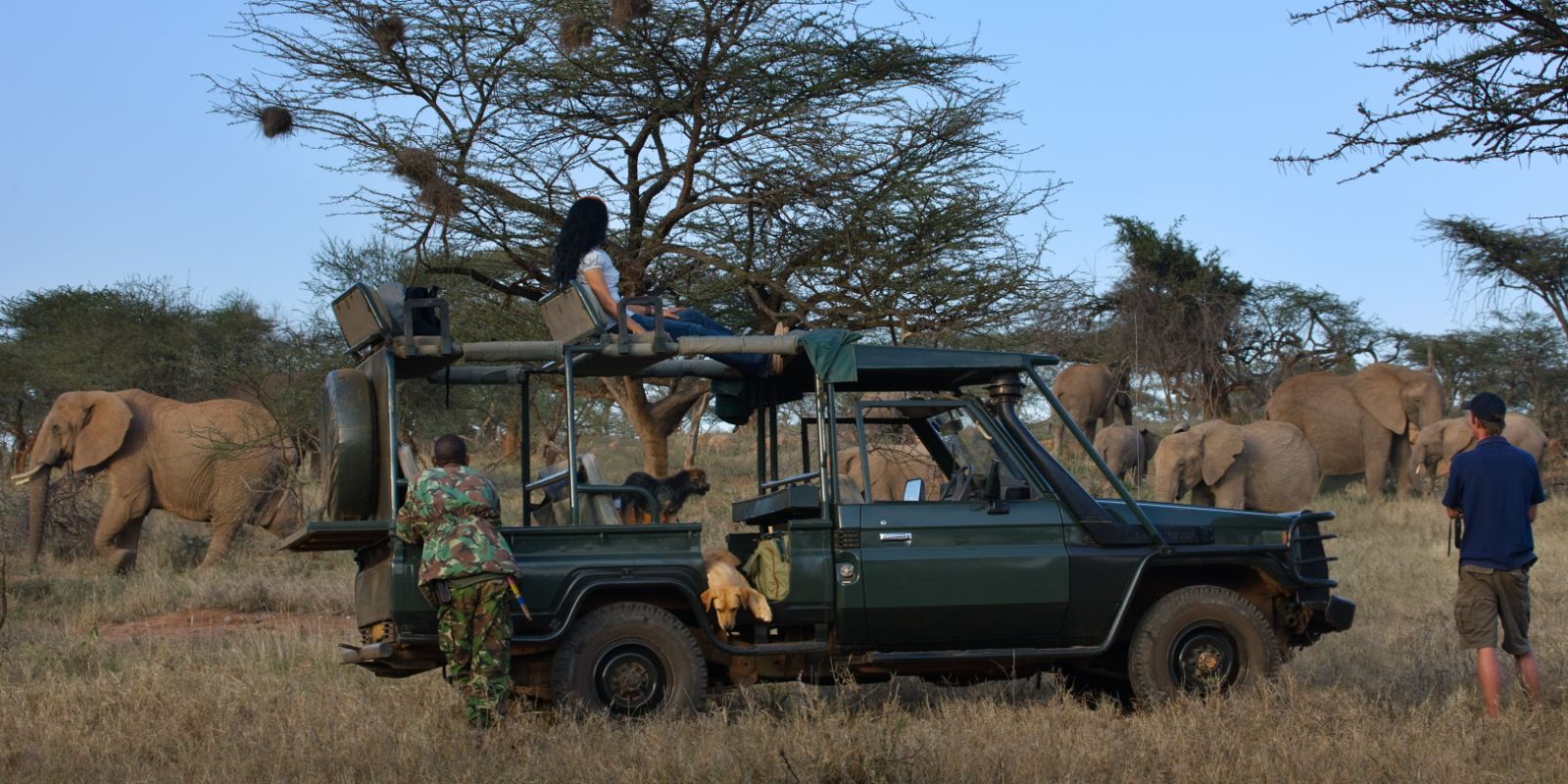Elephants on a game drive at Ol Malo Lodge, Kenya