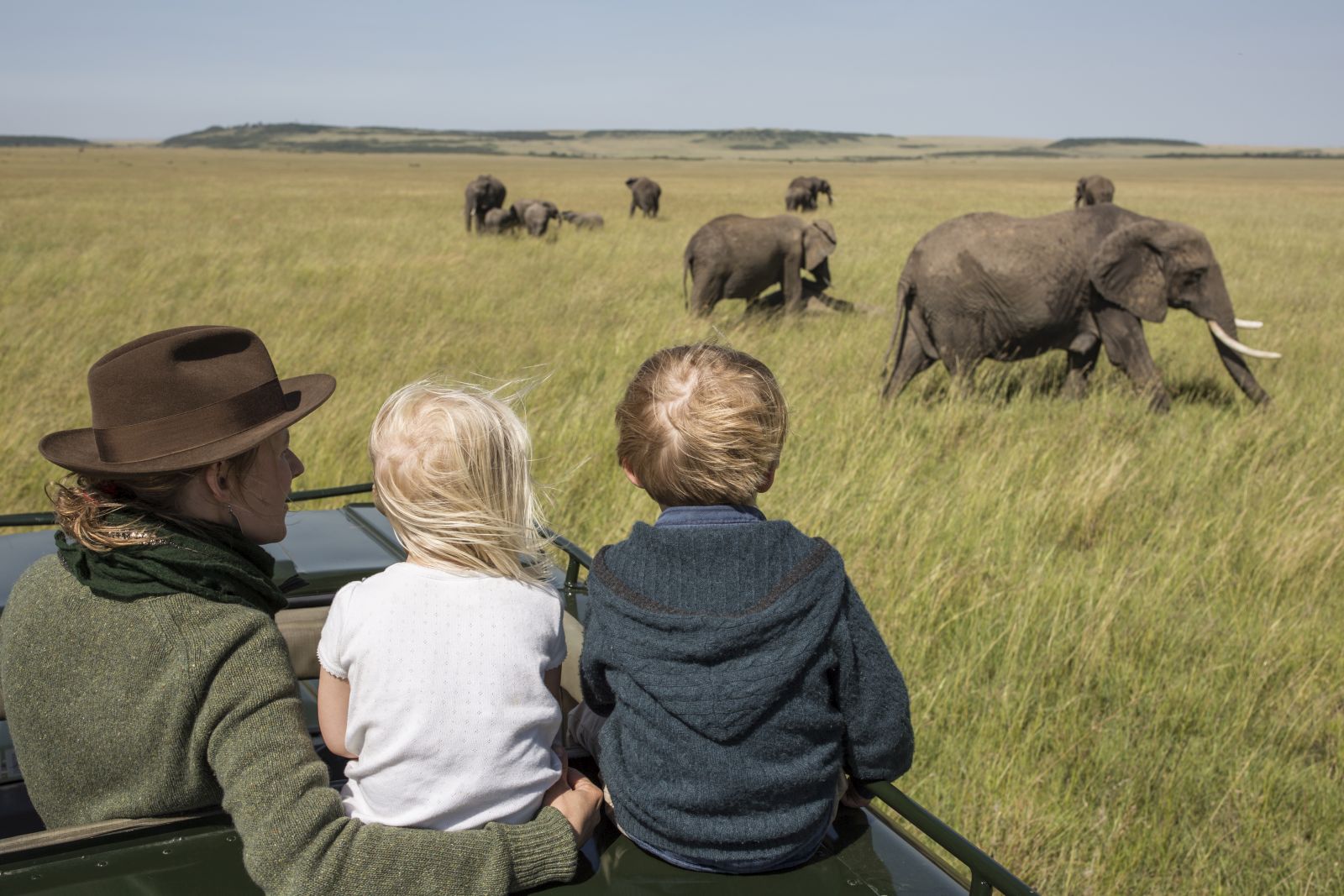 Elephants at Rekero Camp in Kenya 