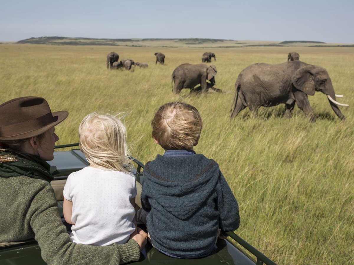 Elephants at Rekero Camp in Kenya