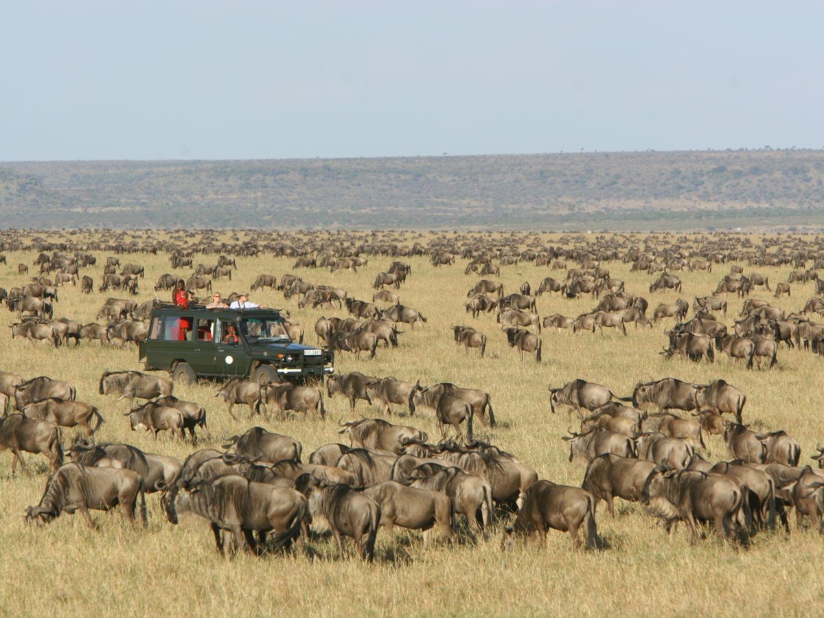 Migration at Rekero Camp in Kenya