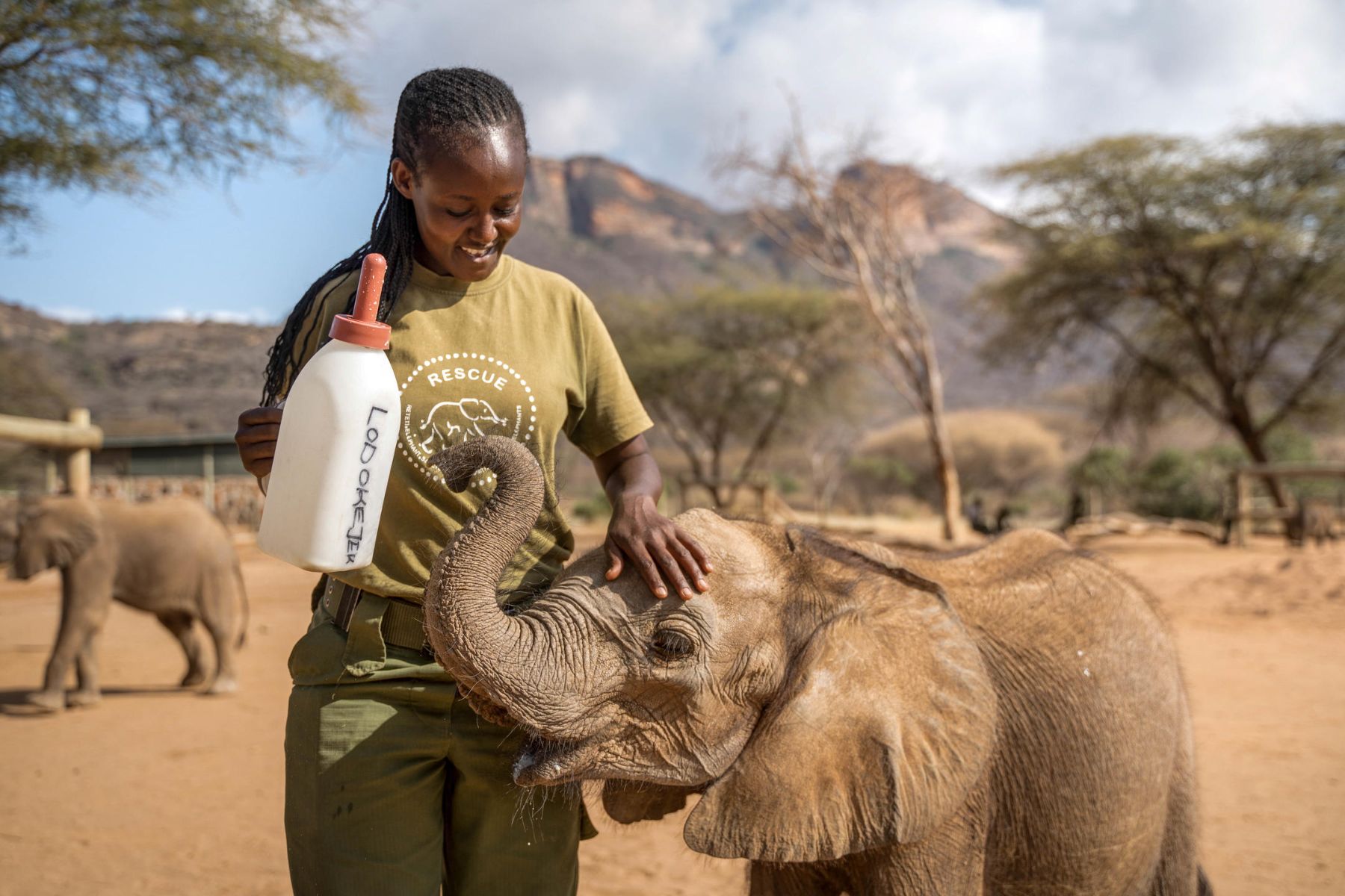 Elephant sanctuary visit from the Sarara Camp in Kenya