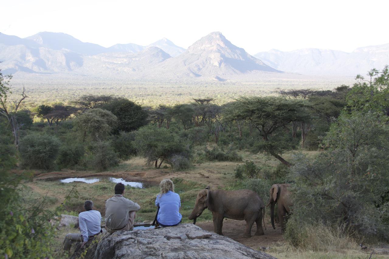 Three adults watching elephants at Sarara, Kenya