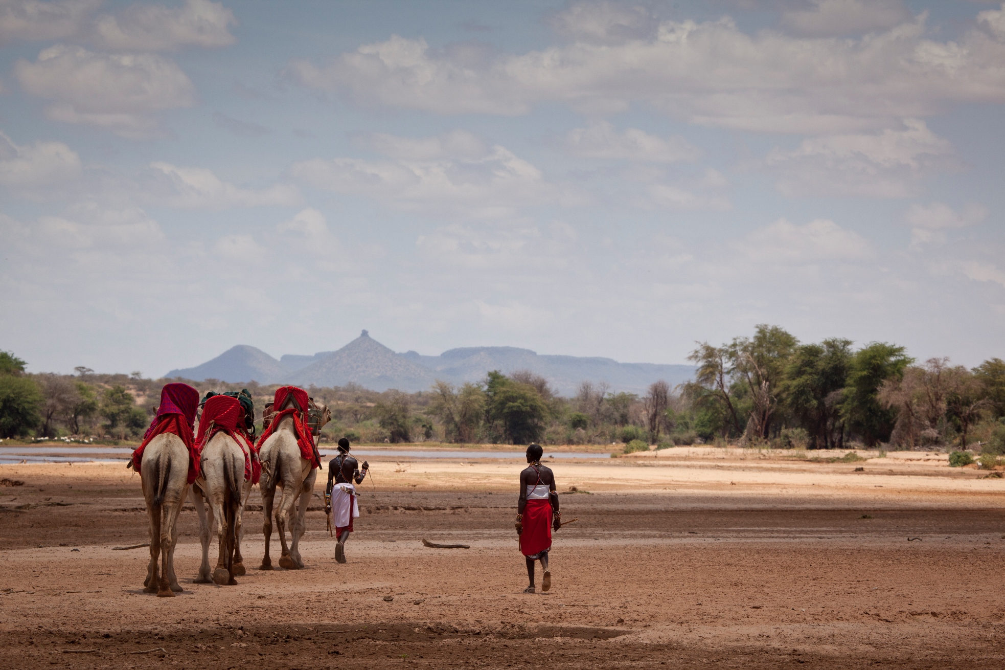 Camel trek with Maasai tribe near Saaab camp, Kenya