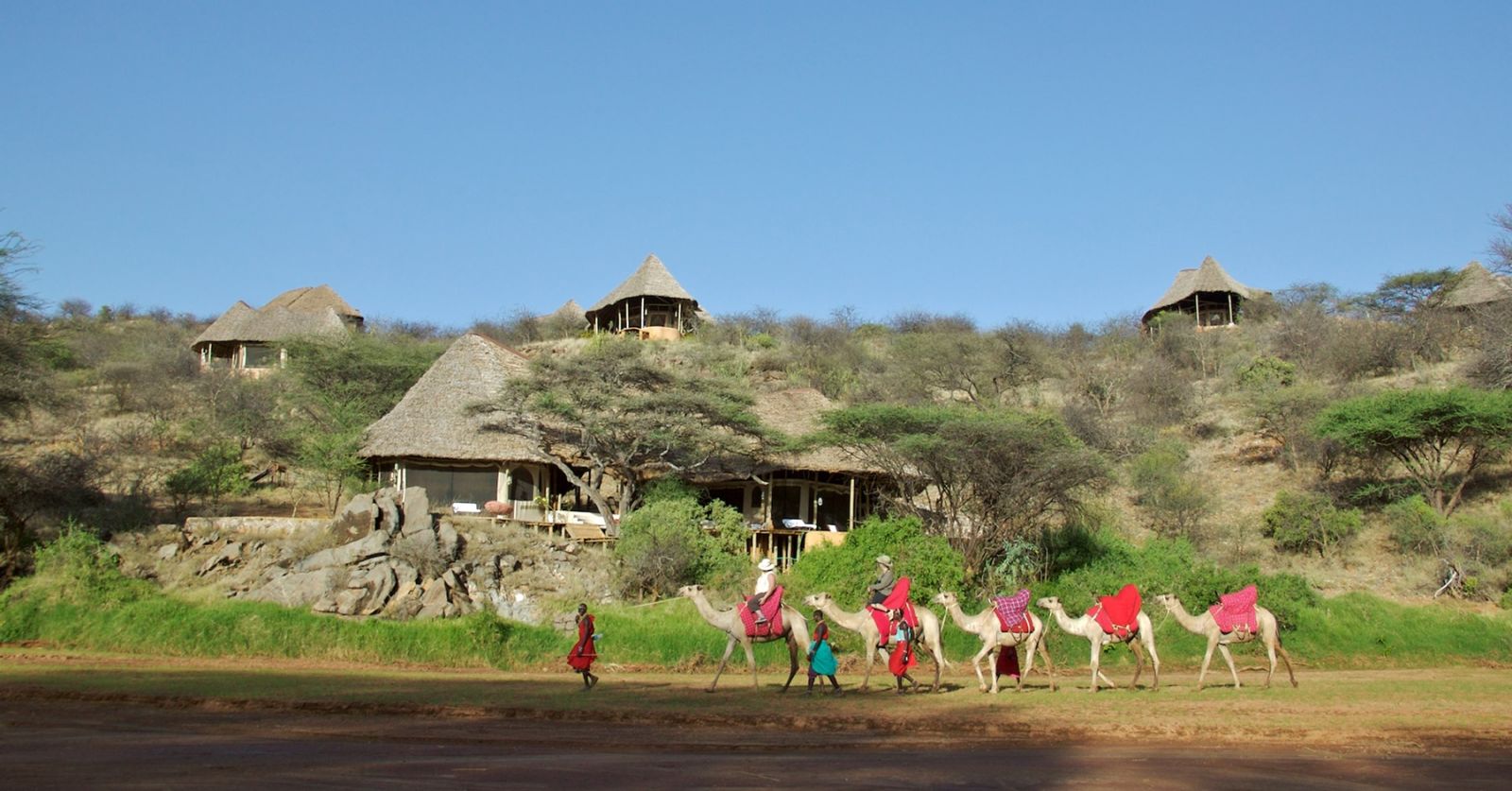 Camel safari at Sasaab in Kenya 