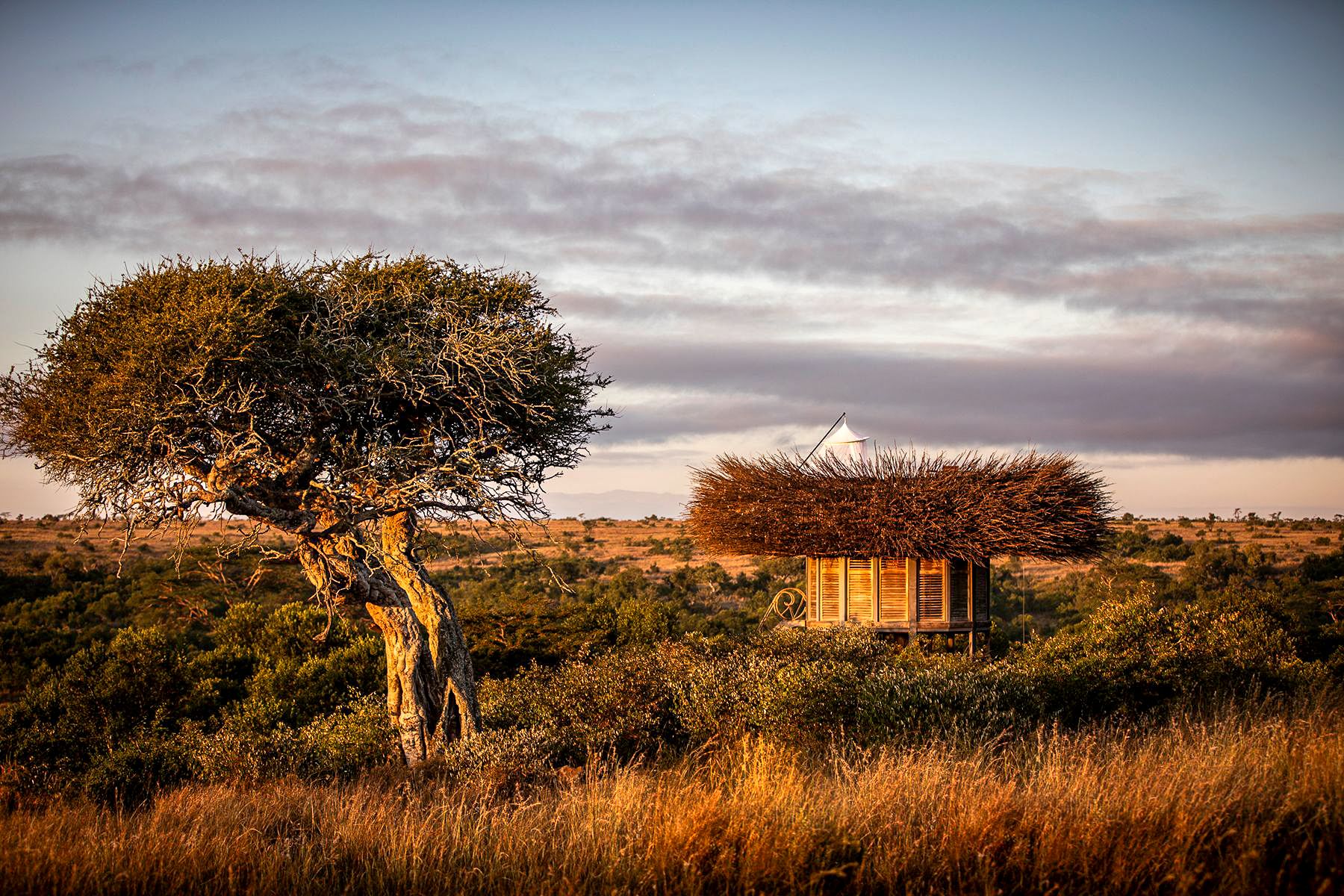 Treehouse at Segera Camp in Kenya