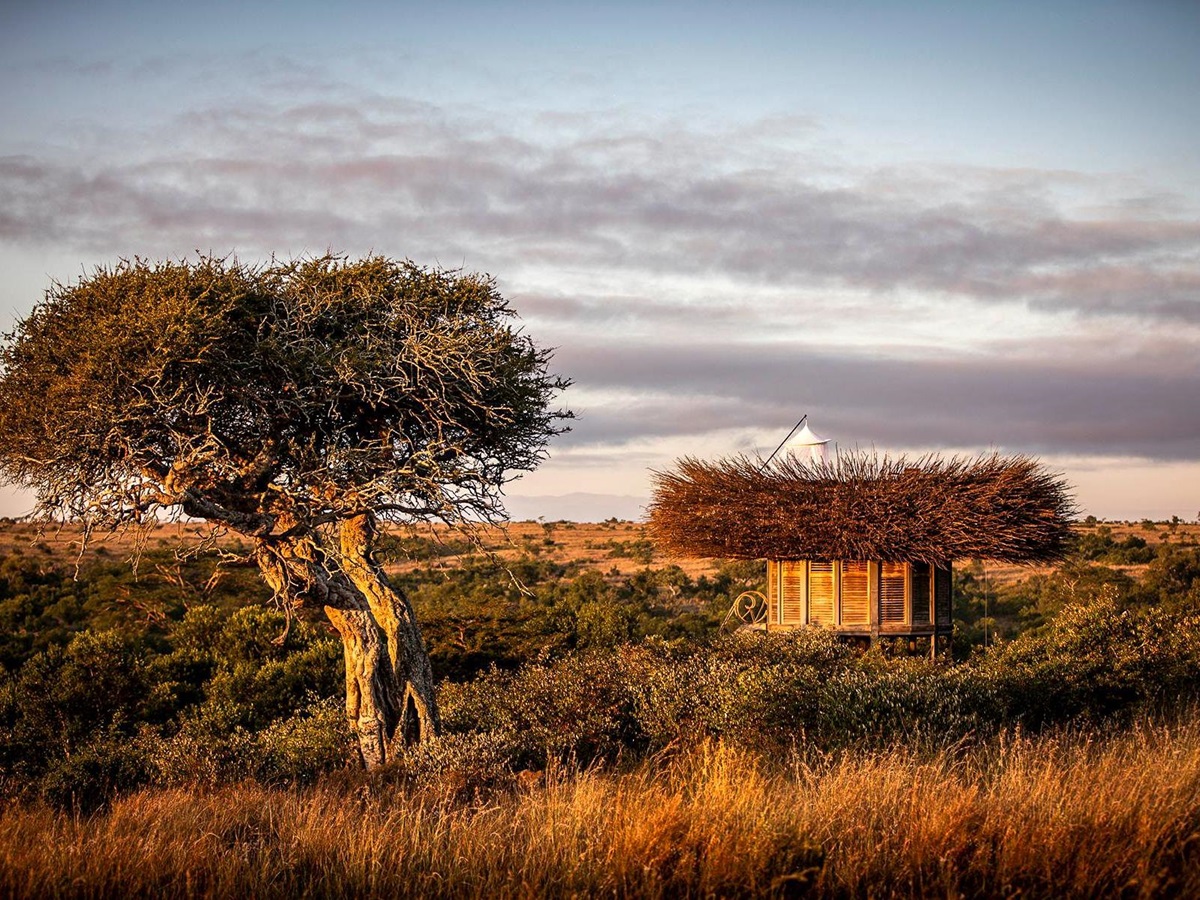 Treehouse at Segera Camp in Kenya