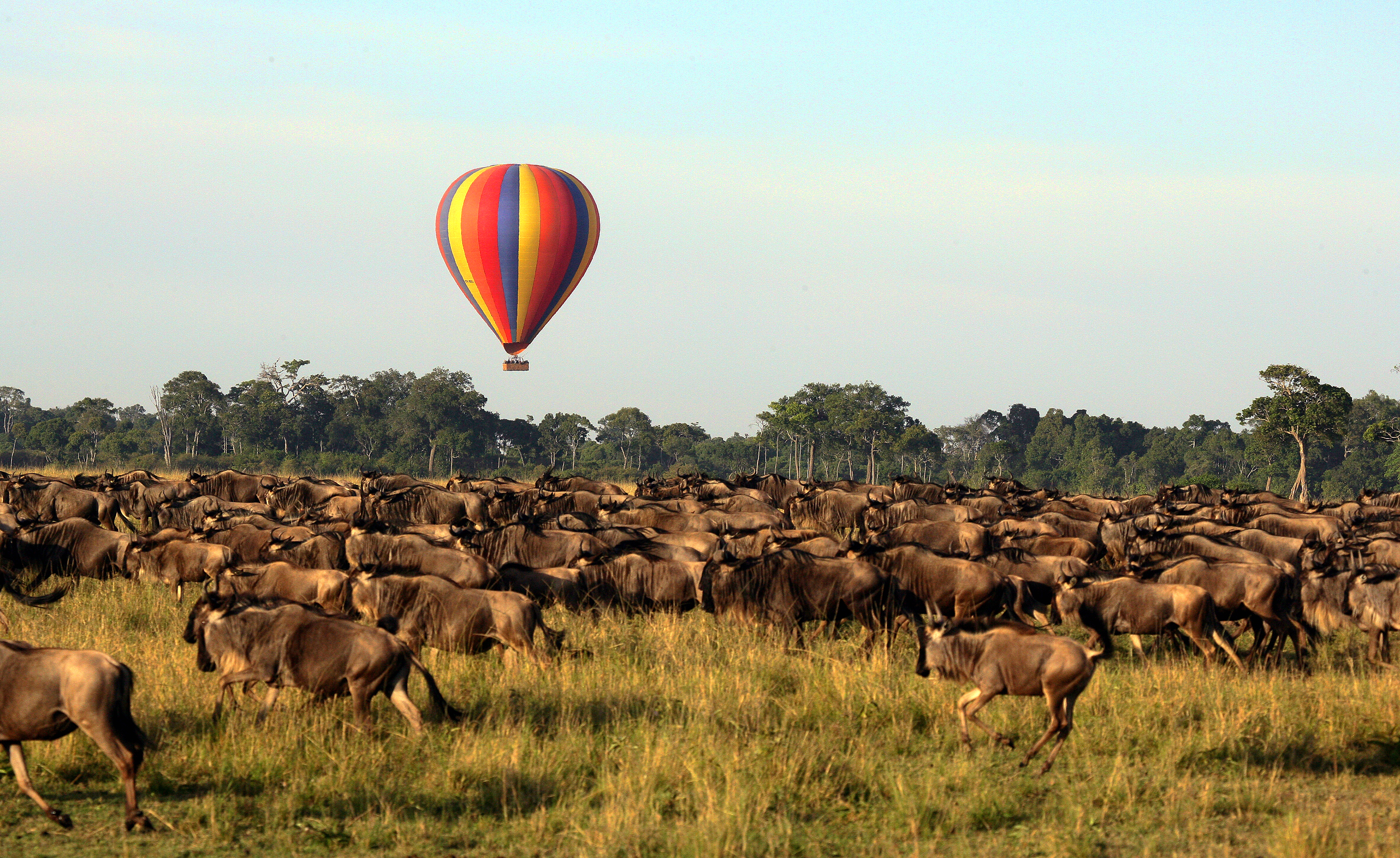 Hot air balloon over Kenya's Maasai Mara